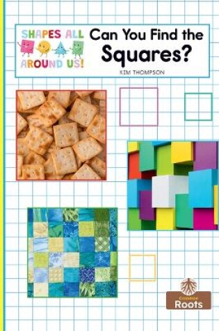 Cover of Can You Find the Squares?