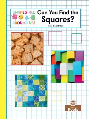 Book cover for Can You Find the Squares?