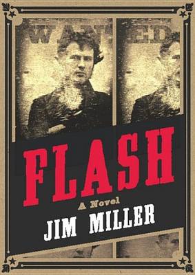 Book cover for Flash