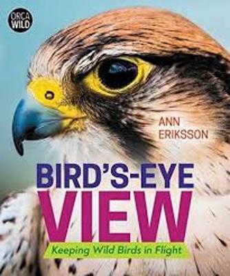 Book cover for Bird's Eye View: Keeping Wild Birds in Flight