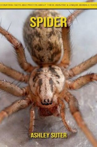 Cover of Spider