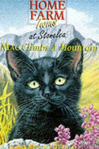 Cover of Mac Climbs A Mountain