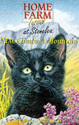 Cover of Mac Climbs A Mountain