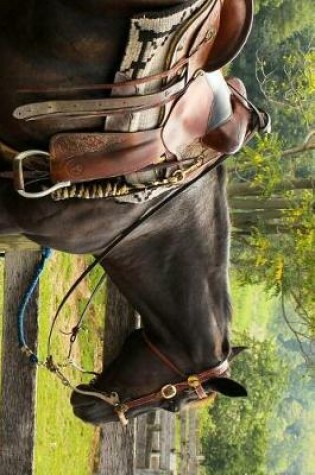 Cover of A Horse Saddled Up and Ready to Go