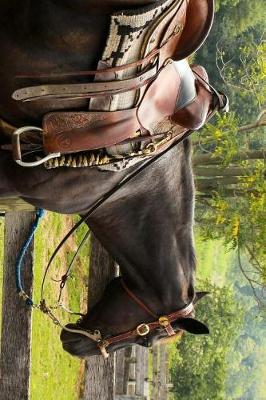 Book cover for A Horse Saddled Up and Ready to Go