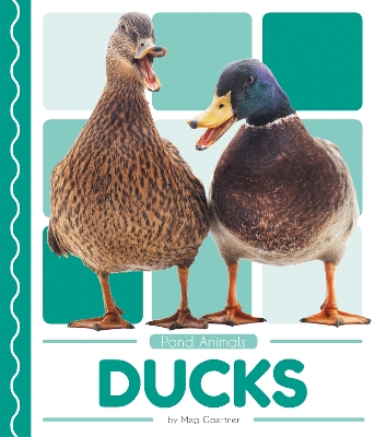 Book cover for Ducks