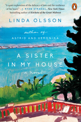 Cover of A Sister in My House