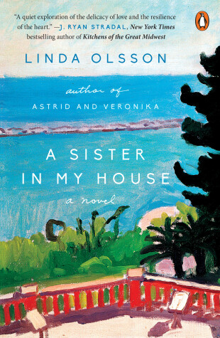 Book cover for A Sister in My House