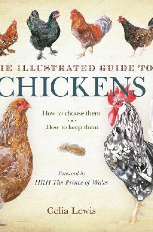 Cover of The Illustrated Guide to Chickens