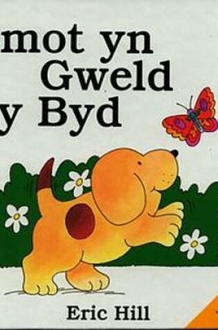 Cover of Cyfres Smot: Smot yn Gweld y Byd