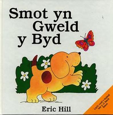 Book cover for Cyfres Smot: Smot yn Gweld y Byd
