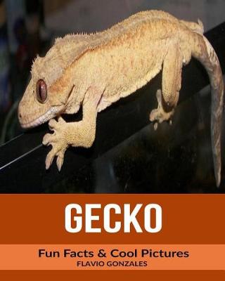 Book cover for Gecko