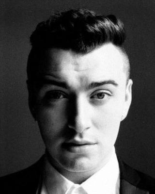 Book cover for Sam Smith Diary