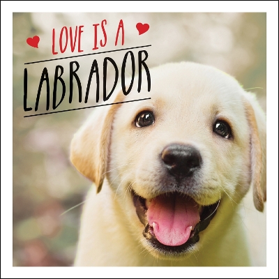 Book cover for Love is a Labrador