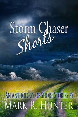 Book cover for Storm Chaser Shorts