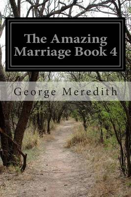 Book cover for The Amazing Marriage Book 4