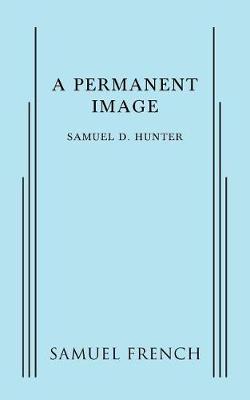 Book cover for A Permanent Image