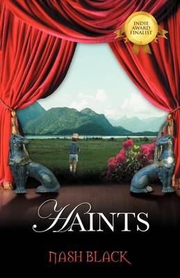 Book cover for Haints