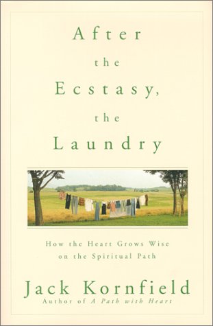 Book cover for After the Ecstasy, the Laundry