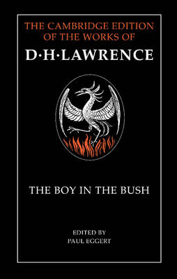 Book cover for The Boy in the Bush