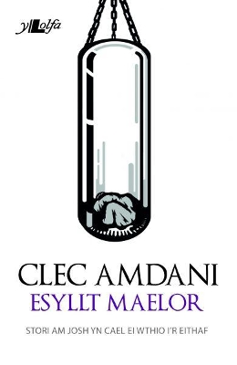 Book cover for Cyfres Copa: Clec Amdani