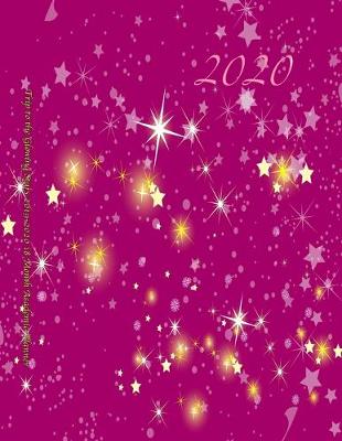 Book cover for Trip to the Glowing Stars 2019-2020 18 Month Academic Planner