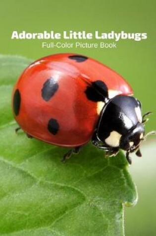 Cover of Adorable Little Ladybugs Full-Color Picture Book