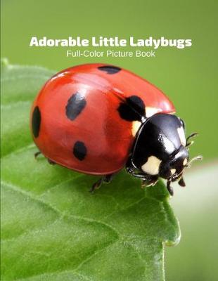 Book cover for Adorable Little Ladybugs Full-Color Picture Book