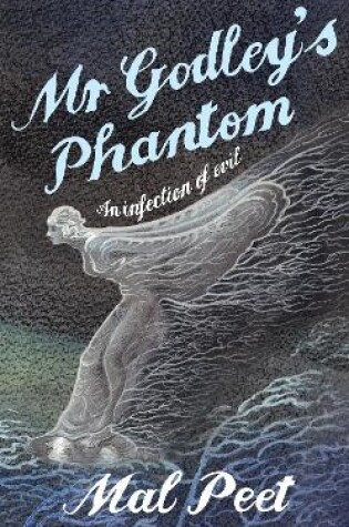 Cover of Mr Godley's Phantom