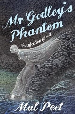 Cover of Mr Godley's Phantom