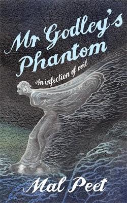 Book cover for Mr Godley's Phantom
