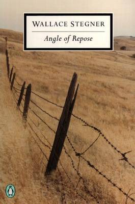 Book cover for Angle of Repose