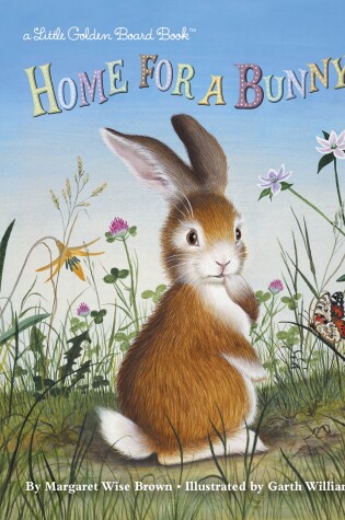 Cover of Home for a Bunny
