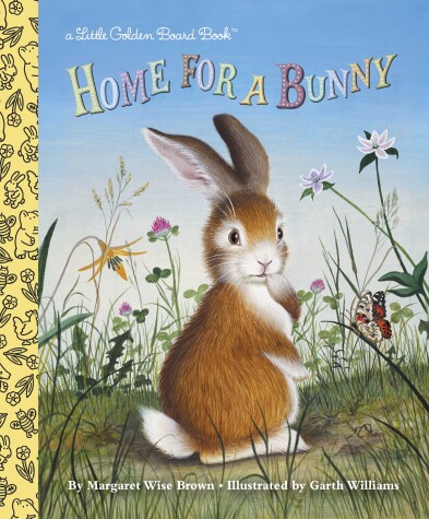 Book cover for Home for a Bunny