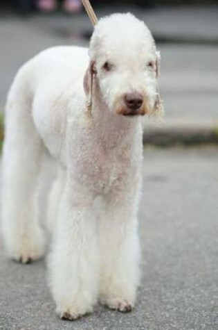 Cover of Adorable Bedlington Terrier Journal