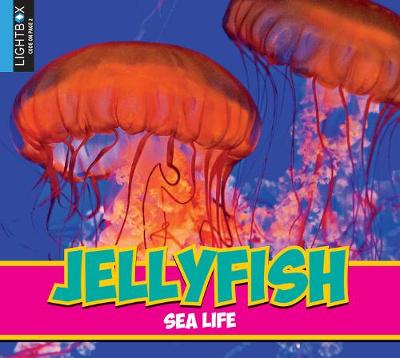 Book cover for Jellyfish