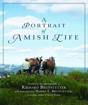 Book cover for A Portrait of Amish Life