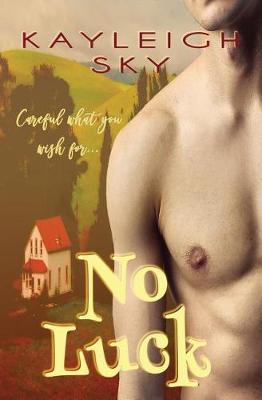 Book cover for No Luck