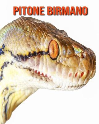 Book cover for Pitone birmano