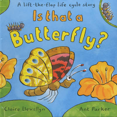 Book cover for Lifecycles - Butterflies