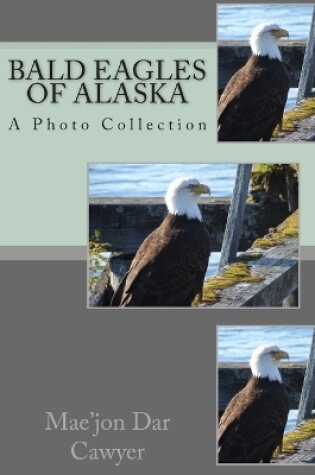 Cover of Bald Eagles of Alaska