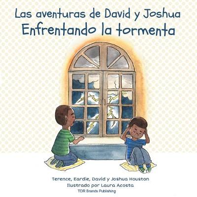 Book cover for Enfrentando la tormenta