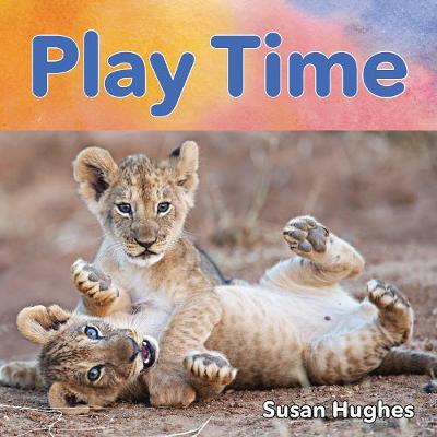 Book cover for Play Time