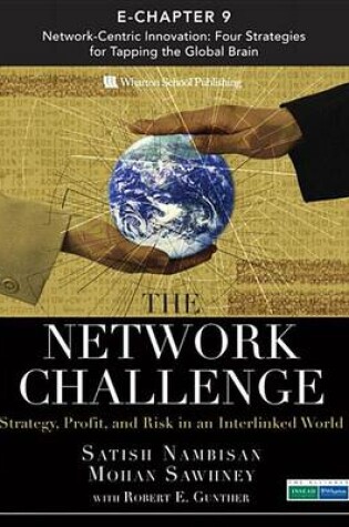 Cover of The Network Challenge (Chapter 9)