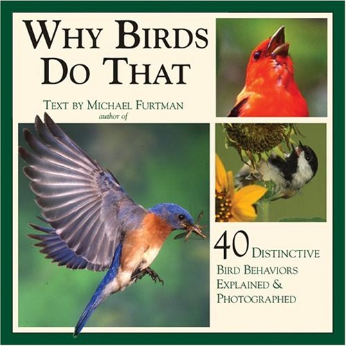 Book cover for Why Birds Do That