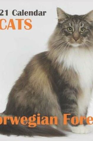 Cover of Norwegian Forest Cats