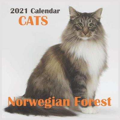 Book cover for Norwegian Forest Cats