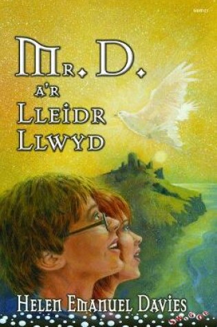 Cover of Cyfres Swigod: Mr D a'r Lleidr Llwyd