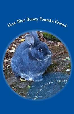 Book cover for How Blue Bunny Found a Friend