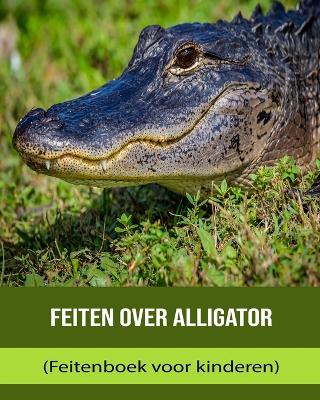 Book cover for Feiten over Alligator (Feitenboek voor kinderen)